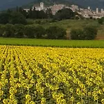 Guest house I Monelli Assisi