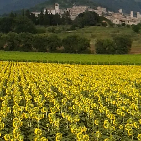 Penzion I Monelli Assisi