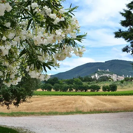 Affittacamere I Monelli Assisi