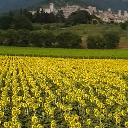 I Monelli 2* Assisi