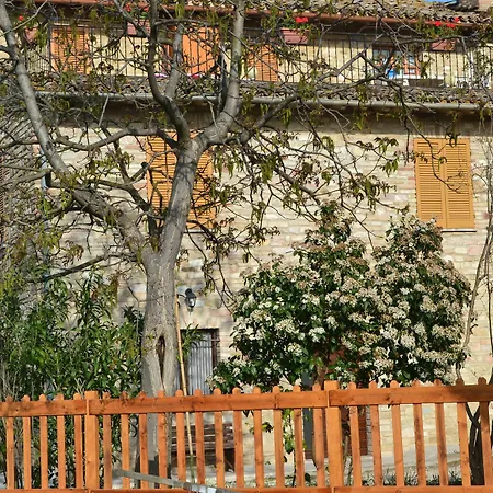 Affittacamere I Monelli 2*