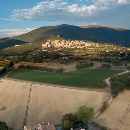 I Monelli